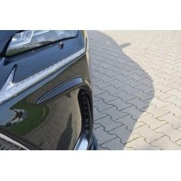 Maxton Cadres pour lumières Lexus NX Mk1 Gloss Black, LE-NX-1-FV1G Tuning.fr