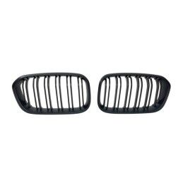 Calandre BMW F20 / F21 LCI 2015-2019 II, Bmw