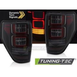 FORD F150 MK12 08-14 SMOKE LED
