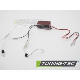 INVERTER CCFL EAGLE EYES IV-RT2-E, Ampoules / Feux de jour