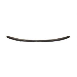 Aileron Carbone BMW F22/F87 M2, Nouveaux produits eurolineas
