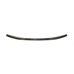 Aileron Carbone BMW F22/F87 M2, Nouveaux produits eurolineas