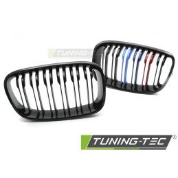 GRILLE SPORT BLACK TRI-COLOUR DOUBLE BAR fits BMW F20 / F21 11-14, Nouveaux produits tuning-tec