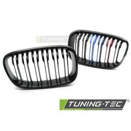 GRILLE SPORT BLACK TRI-COLOUR DOUBLE BAR fits BMW F20 / F21 11-14, Nouveaux produits tuning-tec