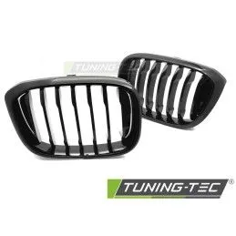 GRILLE GLOSSY BLACK fits BMW X3 G01 17-21 / X4 G02 18-21, Nouveaux produits tuning-tec